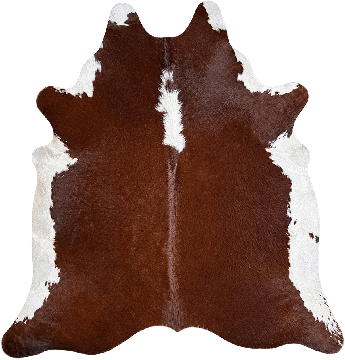 Peau de vache Sienne, vue du produit aux tonalités brun châtain et blanc