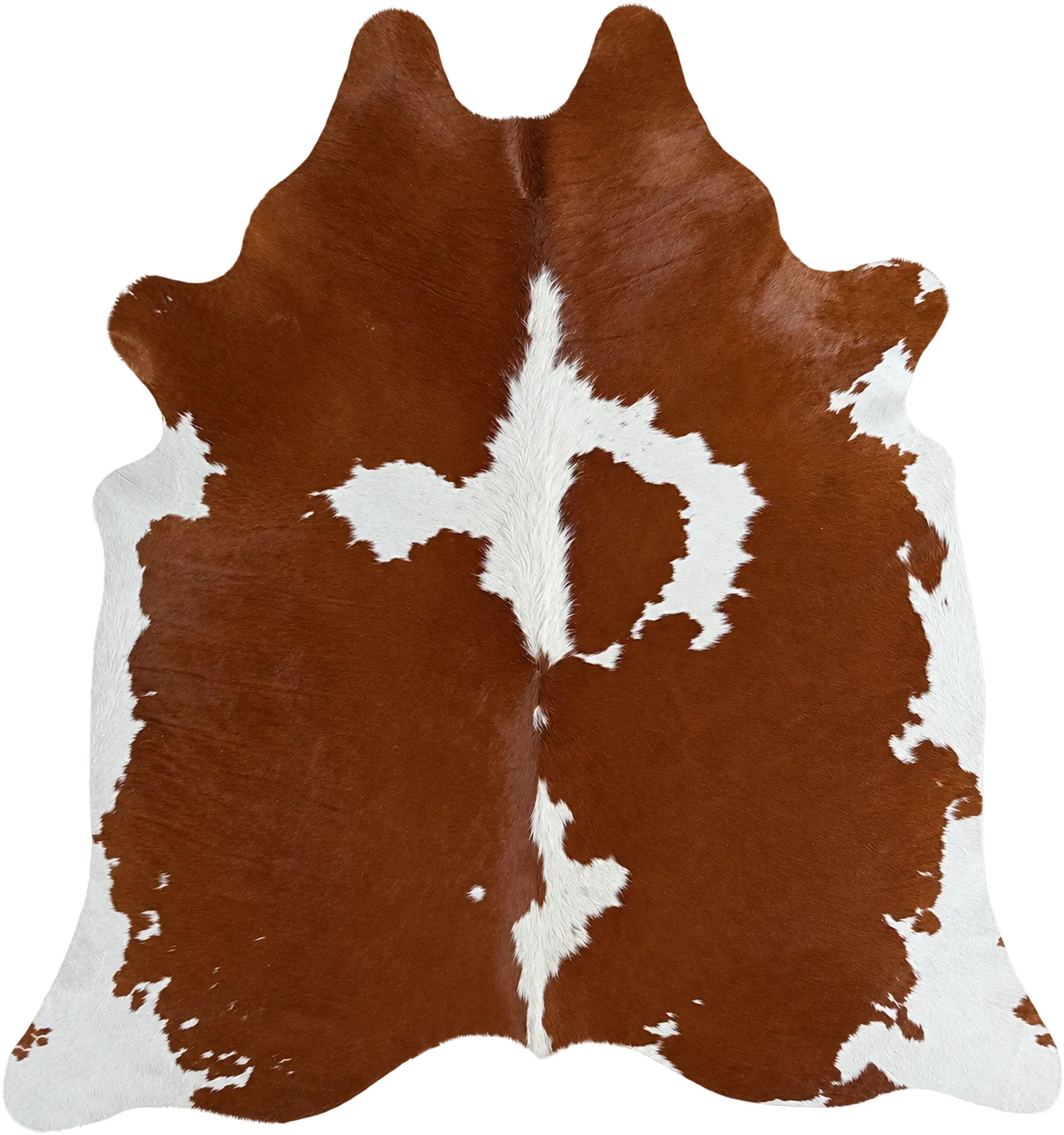 Peau de vache Éclat de Sienne, vue du produit aux tonalités brun roux et blanc